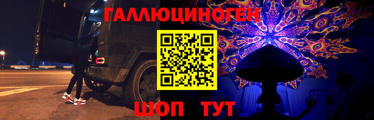 Шатура  где найти   Вход с VPN  Псилоцибиновые грибы MAGIC MUSHROOMS 